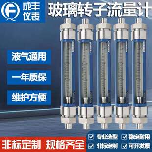 G10-40F气体浮子玻璃转子流量计接液材质304管螺纹连接外壳碳钢