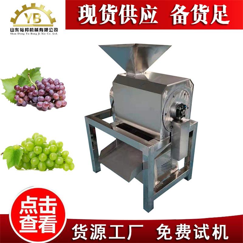 葡萄去皮去籽打浆机 工业型水果果浆加工设备 樱桃榴莲蓝莓打浆机