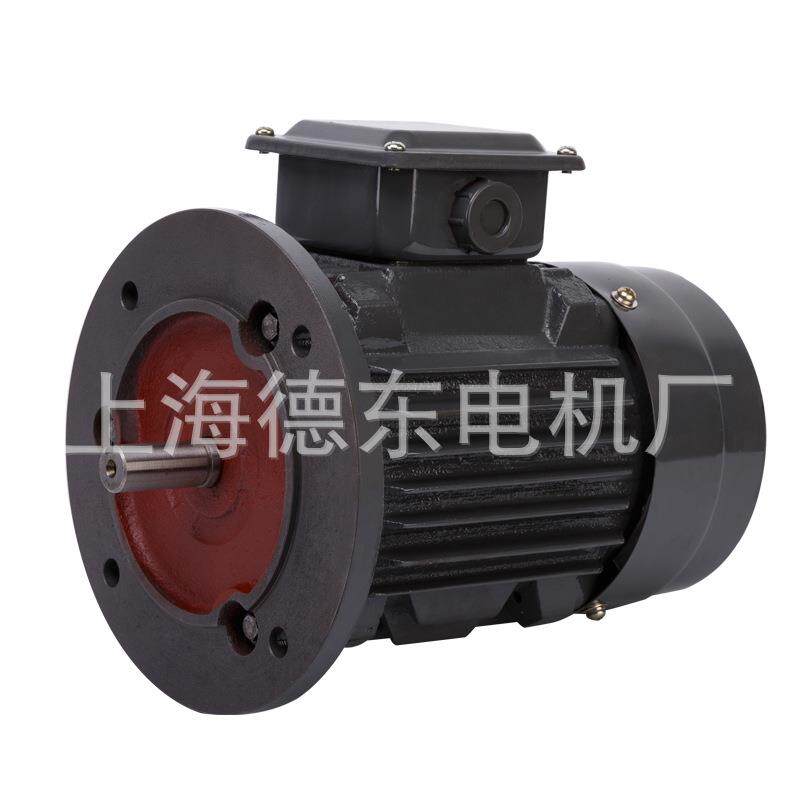 上海德东YE2YE3112M-24W三相异步电动机马达