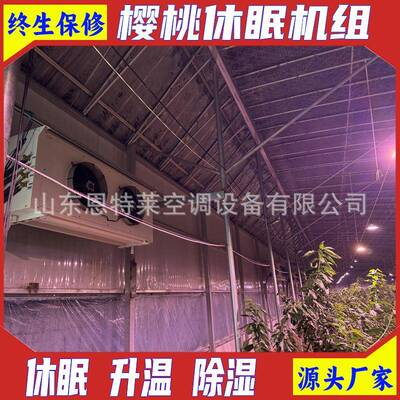 反季节樱桃大棚制冷设备 大棚樱桃休眠空调