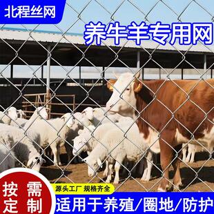 加工畜牧养殖菱形钢丝围镀锌勾花网生锈 不丝网网格防铁护NSD栏