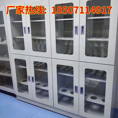 实验室全钢全木器皿柜 全木烧杯存放柜 玻璃仪器柜 PP器皿柜