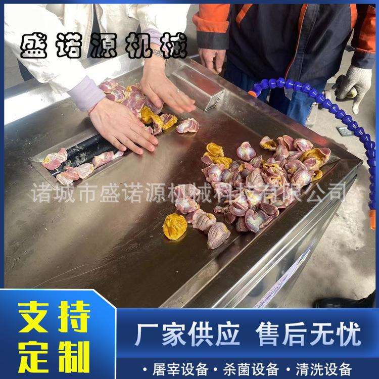 鸡胗剥皮机家禽鸡内金去黄皮机鸡胗扒黄皮机家禽屠宰加工设备