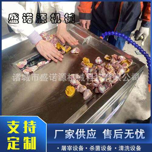 鸡胗剥皮机家禽鸡内金去黄皮机鸡胗扒黄皮机家禽屠宰加工设备