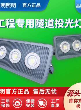 led防爆灯投光灯100w200w加油站工业220v30W低压12V24隧道灯