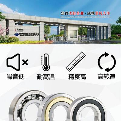 RYS 哈轴传动 6026 6028 6030 6032 6034 ZZ 2RZ