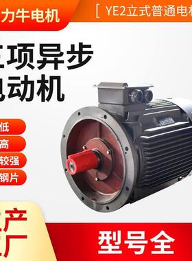 三相异步电动机YE2-200L2-2-37380V精度纯铜线冷轧钢片电机