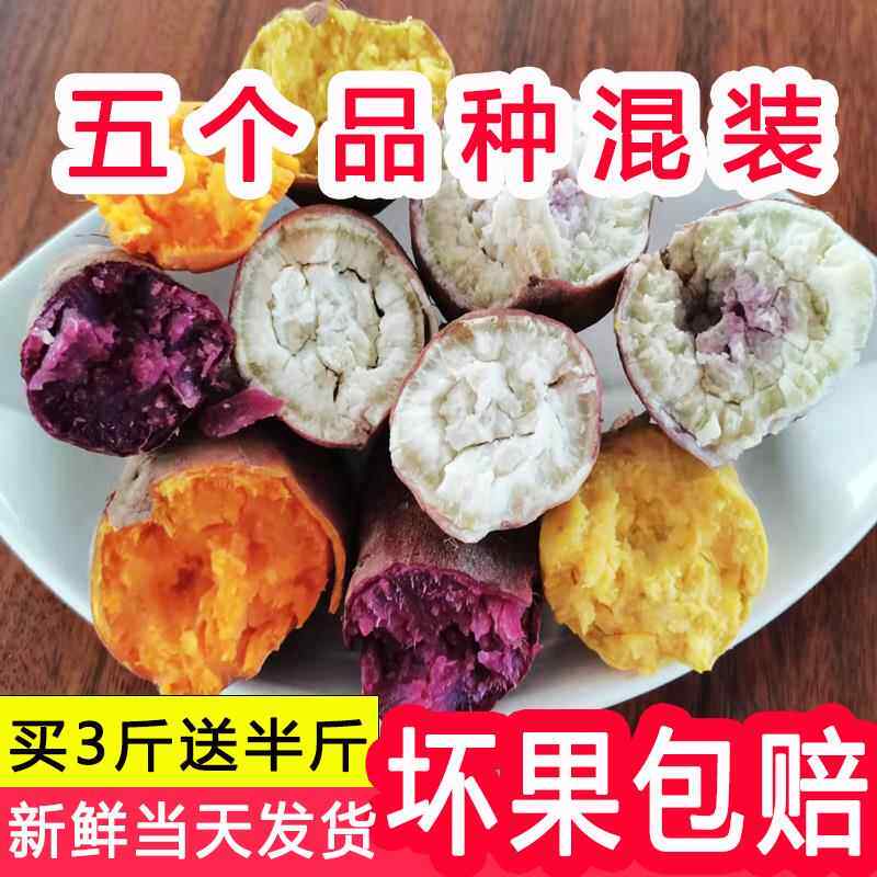 冰淇淋红薯爆皮王番薯鸡蛋黄地瓜紫薯西瓜红蜜薯板栗薯一点红山芋