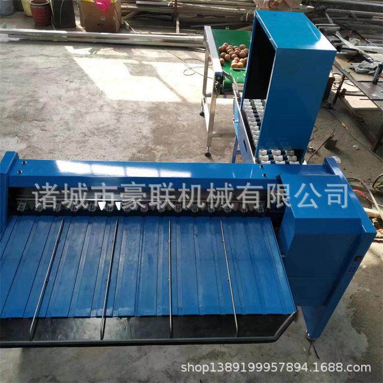 鸡蛋分级机 效分选鸡蛋  按重量大小分级 可配套光检 小输送带