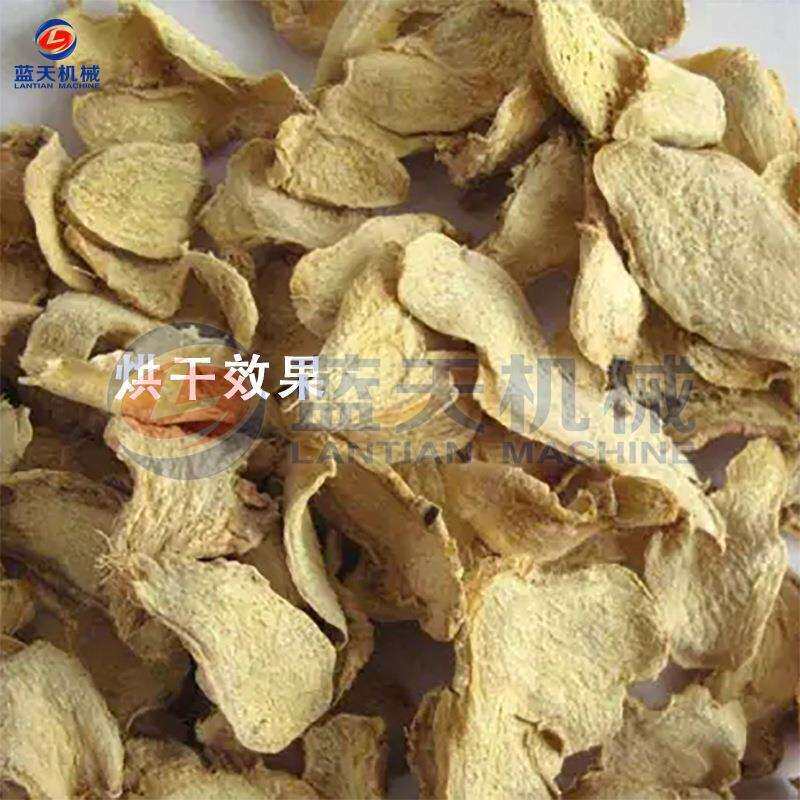 小型电加热生姜片烘干机 姜丝姜黄烘干机 洋姜脱水烘干设备全自动