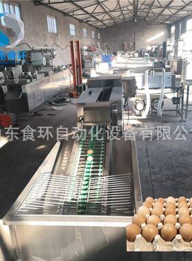 鸡鸭蛋清洗机泥蛋脏蛋清洗机鸡蛋清洗风干线洗蛋机厂家