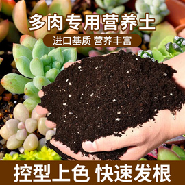 多肉植物营养土通用型室内花卉盆栽花土种植有机肥料颗粒土壤杀菌