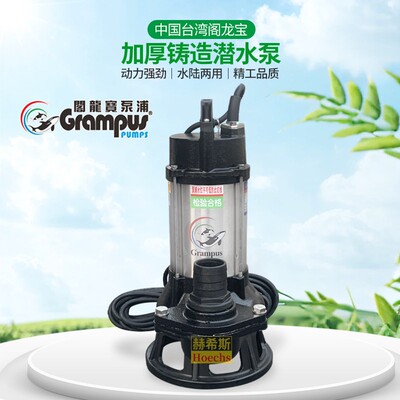 中国台湾亨龙潜水泵BL-323工地工厂酒店别墅化粪池喷泉不锈钢排污