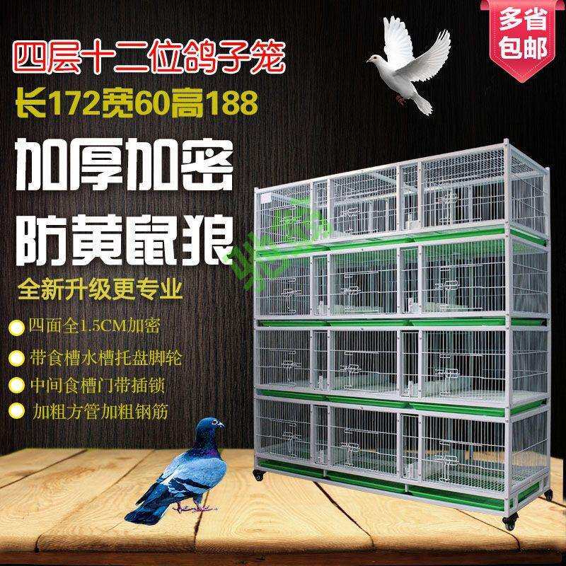 yut四层鸽子笼鸽子配对笼铁笼多层鸽笼公棚观察笼加厚加密鸽子饲