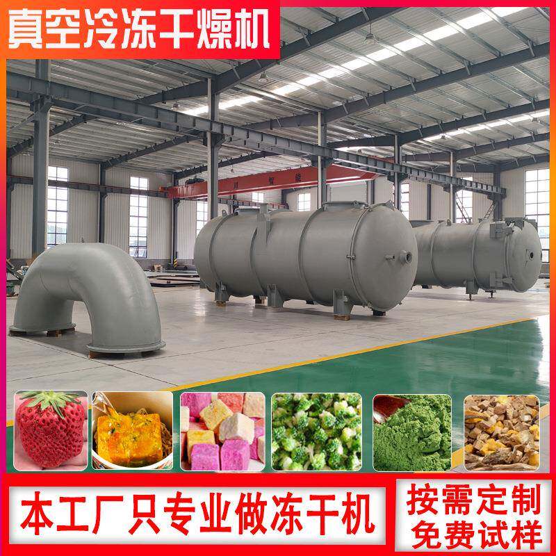 冷冻干燥机鸡胸肉宠物食品 冻干超细粉体设备 复合蛋黄粒冻干机厂