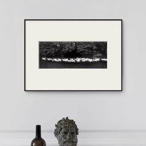 新款直销现代抽象黑白摄影装饰画小众艺术客厅沙发背景墙挂画餐厅