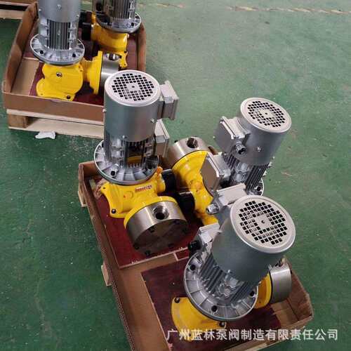 DZ-X柱塞式计量泵 低温计量泵 DZ-X100/2液压柱塞计量泵