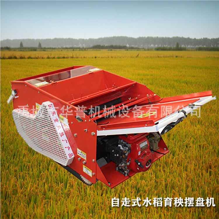 新型摆水稻育秧机汽电动土自走式粉插2BPJ-2型秧育苗盘填底土播种