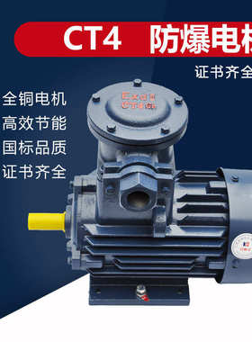 CT4 防爆电机YBX3-112M-4 4KW 隔爆型三相异步电动机IP65