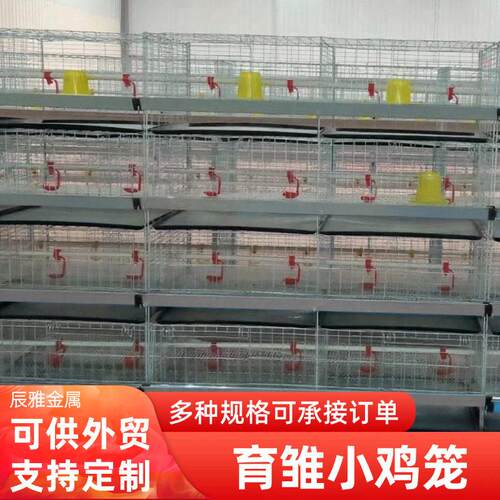 鸡舍养殖育雏鸡笼带粪鸡笼盘设备立式四层小鸡笼育雏层叠养鸡笼