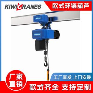 德马格款欧式环链葫芦0.5T/1T电动遥控手柄厂家直发起重机