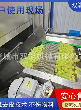 黄桃头加工蒸汽脱皮机 隆坤 葡萄全自动加工设备生产线厂家现货