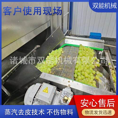 隆坤蒸汽脱皮机 黄桃加工设备 葡萄头全自动生产线去皮机支持定