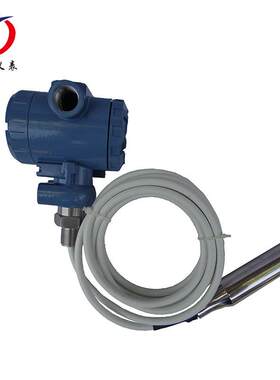 静压式液位计型号FWT501TL1DB2N变送液位传感器投入式水位高精度
