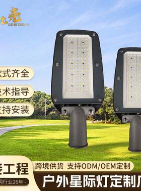 跨境市电款高光效可调节路灯户外高杆照明灯市政工程LED路灯头