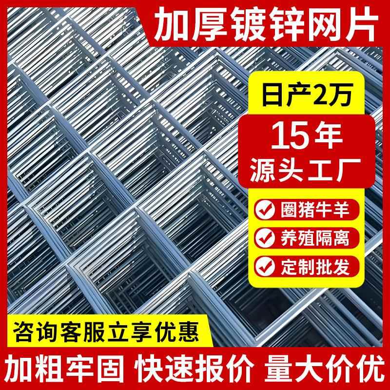 建筑钢筋网片鸽舍鸡狗笼加粗养殖铁丝网片水泥地防裂网镀锌钢丝网