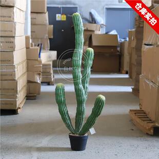 大型沙漠仿造生SKU-789植物景造假仙景人掌仿观真植物仙人柱人绿