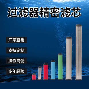 200EX油气分离器 建德嘉源T 精密过滤器除水除油除尘管道替代滤芯
