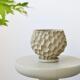 日陶多花瓷WL001盆榴莲块根绿植北欧创意个性 盆套盆带 立体肉陶式