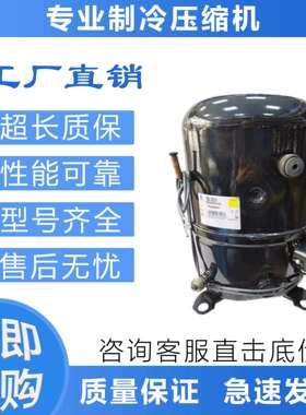 冷库布里斯托制冷压缩机M63B203BBKB/L63A113DBEA
