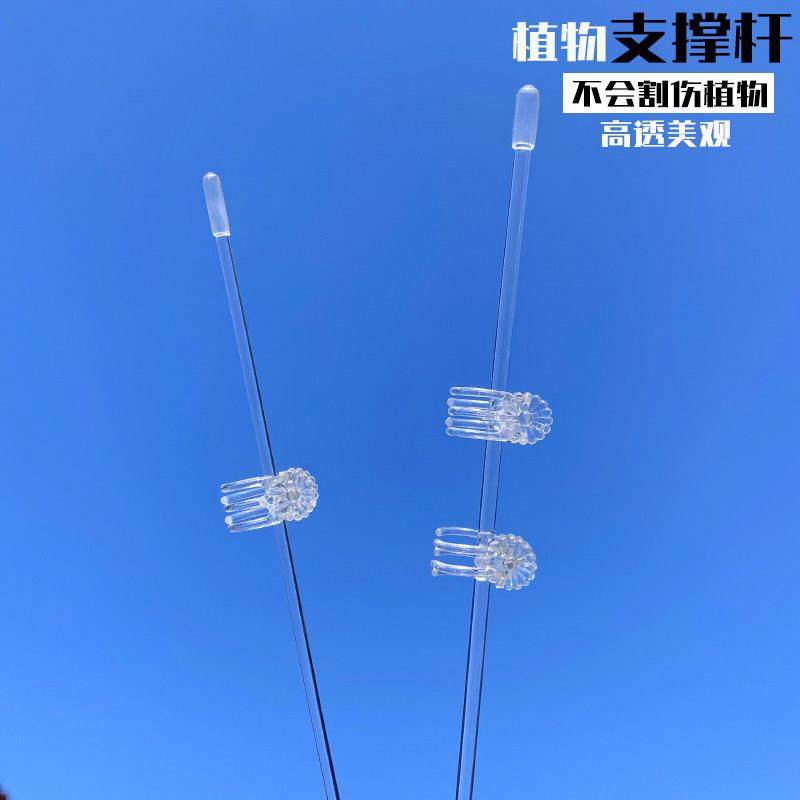蝴蝶兰花高透明亚克力铁线莲支撑杆夹子热植物防倒爬藤类造型支架,鲜花速递/花卉仿真/绿植园艺,其它园艺用品,淘宝优惠券,粉丝福利购,淘宝优惠卷