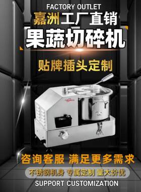 贴牌定制果蔬打碎机不锈钢果蔬切碎机跨境工厂定制配套调料打碎机