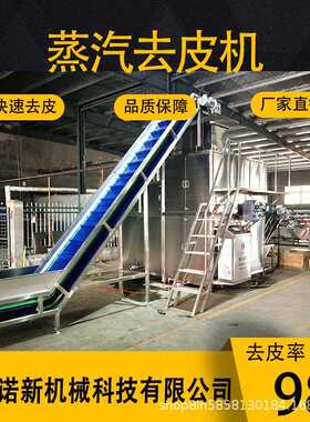西红柿小番茄圣女果柿子树柿去皮设备 蒸汽去皮机 大型工业猕猴桃
