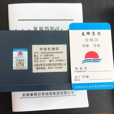 HSRT20A991210AHT 智能控制仪
