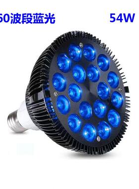 亚马逊热销PAR38蓝光灯54W蓝光射灯460波段E27螺口射灯LED超亮