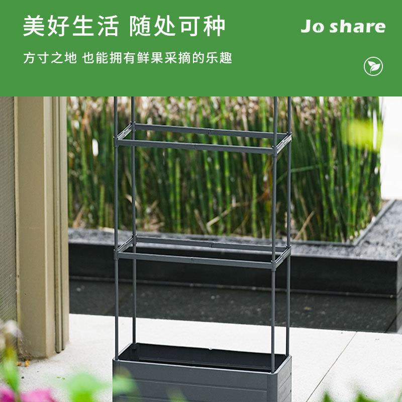 枝晓黄瓜种植盆套装花园植物爬藤花盆植物系带攀岩户外园艺跨境