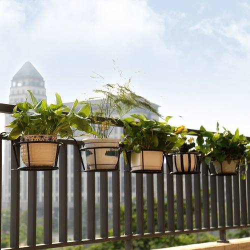 花架子阳台栏杆花架兰花兰花花几