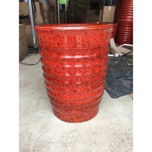 尾榕萝散琴叶客厅葵盆发财盆栽红釉绿高树螺纹大花盆