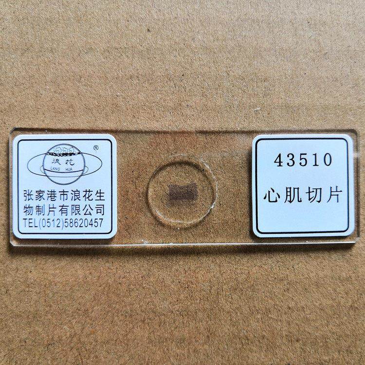 心肌切片43510 生物显微镜玻片涂片 浪花牌切片 教学仪器
