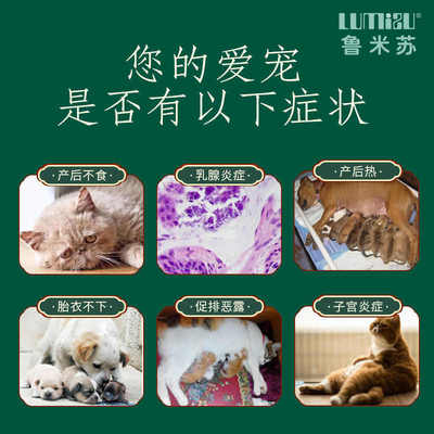 台湾布洛灵宫脓清狗狗子宫蓄脓感染猫咪内膜炎积液宠物假孕症包邮