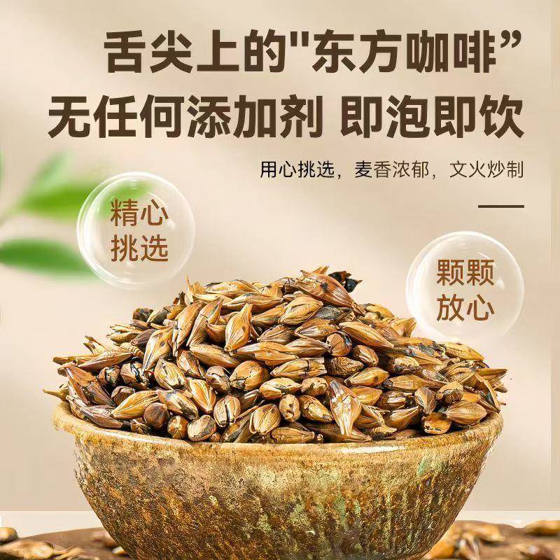 陈一凡麦茶 精选全麦原味烘焙浓香型大颗粒荞麦手工挑选养生茶