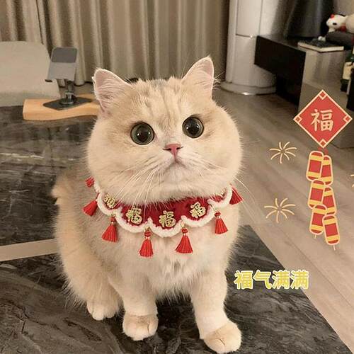 猫咪围脖新年项圈小猫口水巾过年喜庆围巾宠物围兜福字可爱小配饰