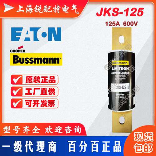 JKS-125 熔断器 600V 125A 巴斯曼BUSSMANN快速熔断器