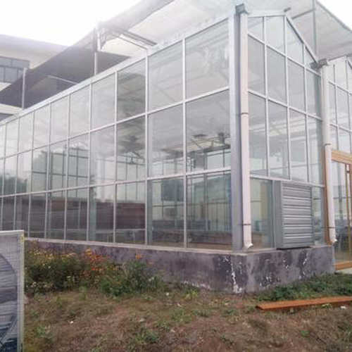蔬菜大棚生态餐厅阳光板温室园林种植大棚工程建设阳光温室大棚