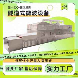 黄粉虫干燥工设备 黑水虻微波烘流机 面包虫干燥机 昆干虫加水线