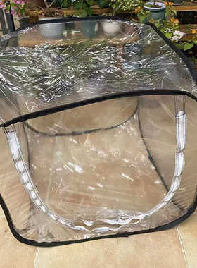 塑料花园温室露营透明房暖房迷你花房花园罩防虫多肉植物温室大棚